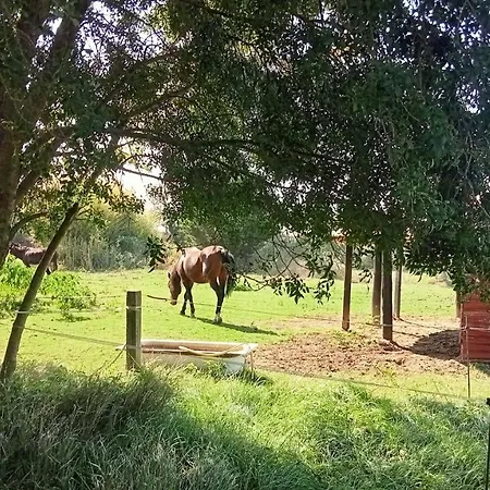 Piano Loft Turismo Rural Costa Brava-vilanova De La Muga Vilanova de la Muga