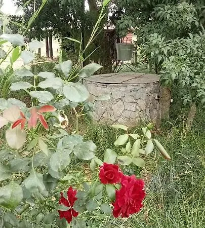 Apartamento Piano Loft Turismo Rural Costa Brava-vilanova De La Muga Vilanova de la Muga