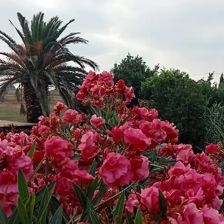 Apartamento Piano Loft Turismo Rural Costa Brava-vilanova De La Muga Vilanova de la Muga